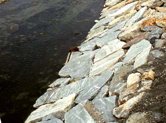 Giunto in pianura, il fiume corre veloce solo in corrispondenza di brusche variazioni di pendenza, dove si formano ampie rapide su fondo ciottoloso, ma destinate a diventare più rare.