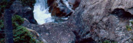 Sulla sponda rocciosa in alto è evidente, una marmitta dei giganti, risultato dall azione erosiva di vortici che si formano durante le piene.