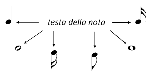 Teoria musicale - 4 ALTEZZA DELLE NOTE Su questa griglia vengono collocate le note (suoni) e le pause (silenzi).