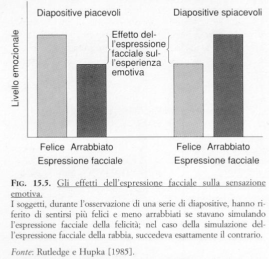 sottolinea il ruolo dei muscoli facciali sulla percezione delle emozioni il feedback proveniente dai muscoli