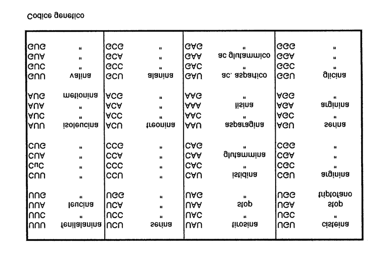 45 UUA (complementare a AAU), CGG (completare a GCC), CAU, GGC, AUG, AAG, CAA che, a loro volta, portano legati gli amminoacidi asparagina, alanina, valina, prolina, tirosina, fenilalanina, valina