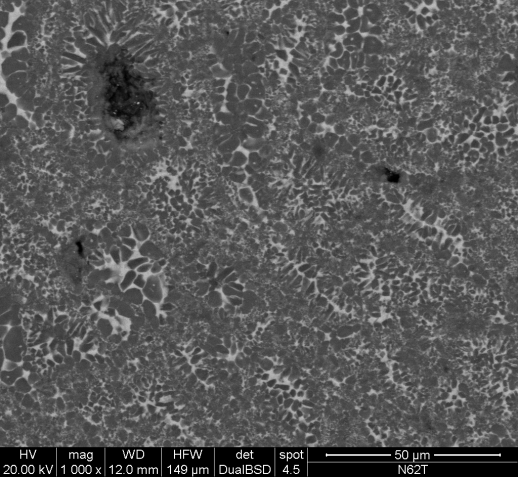 Vetroceramiche a base di nefelina da vetro da rifiuti 111 La superficie, indagata tramite microscopio