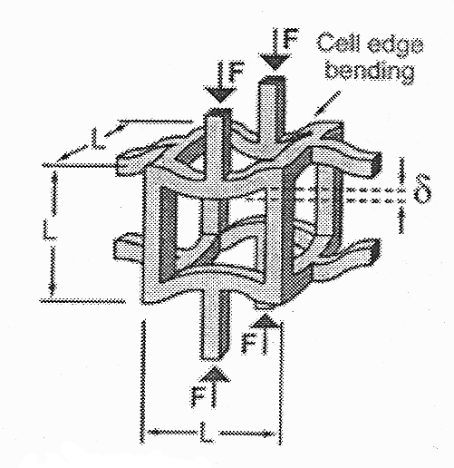 2: Idealizzazione della struttura di una singola cella costituente una schiuma Come si può vedere dall immagine, ogni cella consiste in travicelle solide attorno ad uno spazio vuoto contenente gas o