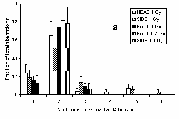 Nelle configurazioni S ed H sono state osservate anomalie formate da molti cromosomi (fino a 6) generate da numerose rotture (fino a 9).