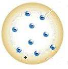 .. Il modello atomico di Rutherford 8.1.