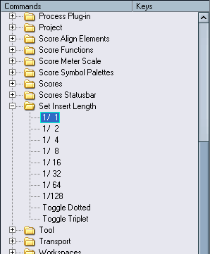 quantizzazione. È possibile assegnare dei tasti funzione per selezionare automaticamente i valori musicali.