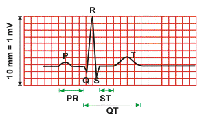 ECG ESAMI STRUMENTALI