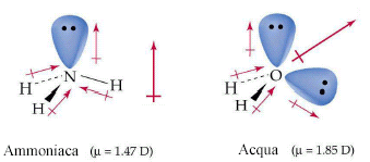 In effetti il momento dipolare totale di una molecola è dato dalla somma vettoriale dei momenti dipolari relativi a tutti i dipoli elettrici dovuti sia ai legami covalenti che alle coppie solitarie