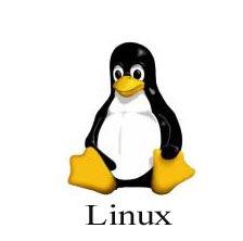 Requisiti della soluzione OS: - Unix, Linux, Aix - Win 2003 server - Win 2008 server CPU: - Xeon/Core2 o sup. Ram: - 4 GB min. Web Server: - Apache vers. 2.0 o sup.