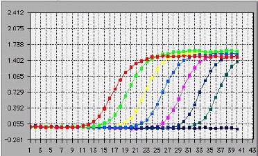 Curve di amplificazione Fluorescenza Cicli di amplificazione Per ogni campione si ottiene una curva di