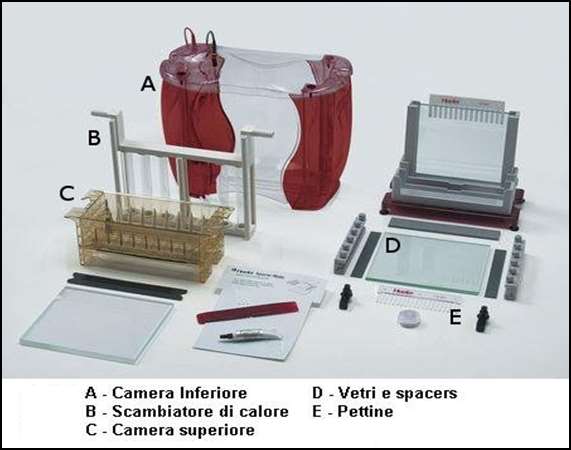 ANALISI MATRICE GEL DI POLIACRILAMIDE AL 10% IN PRESENZA DI UREA PARAMETRI DI CORSA PER