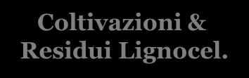 Le bioenergie Biomassa M%<50 C/N>30 M%>50 C/N<30 M% ~35 C/N>35 Termochimici Biologici Estrazione Oli Coltivazioni & Residui Lignocel.