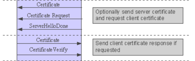 Il client verifica se il server ha inviato un certificato valido (in caso di certificato non valido