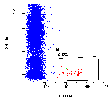 CD45+ cellule