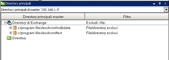 Selezione di directory principali di replica Selezione di directory principali di replica Affinché questa funzione sia disponibile è necessario selezionare le directory master.