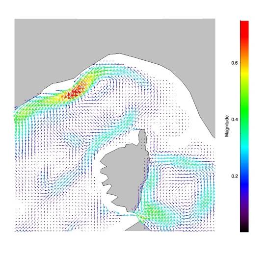 14 simulazione del modello costiero La catena di nesting permette di considerare gli effetti dovuti alla rifrazione delle correnti nelle aree regionali (fig 15-16), che possono contribuire in modo