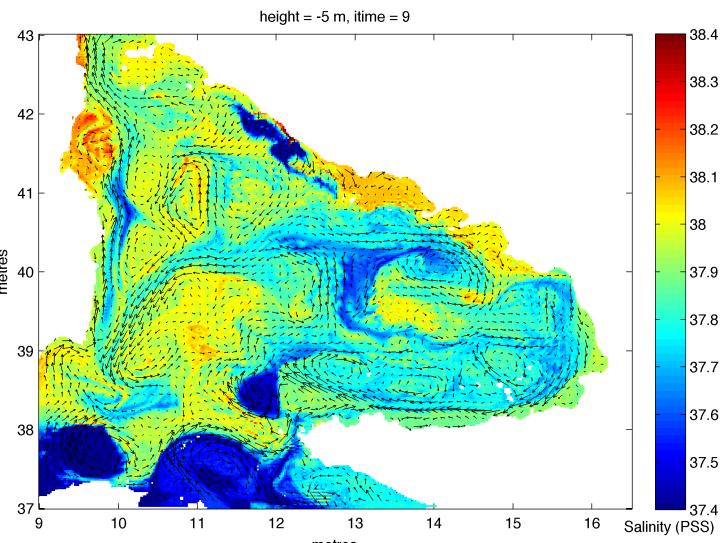 Dalle figure e possibile osservare la variabilita spaziale dei campi di salinita associati alla presenza di gyres caratteristici ben definiti dal modello.