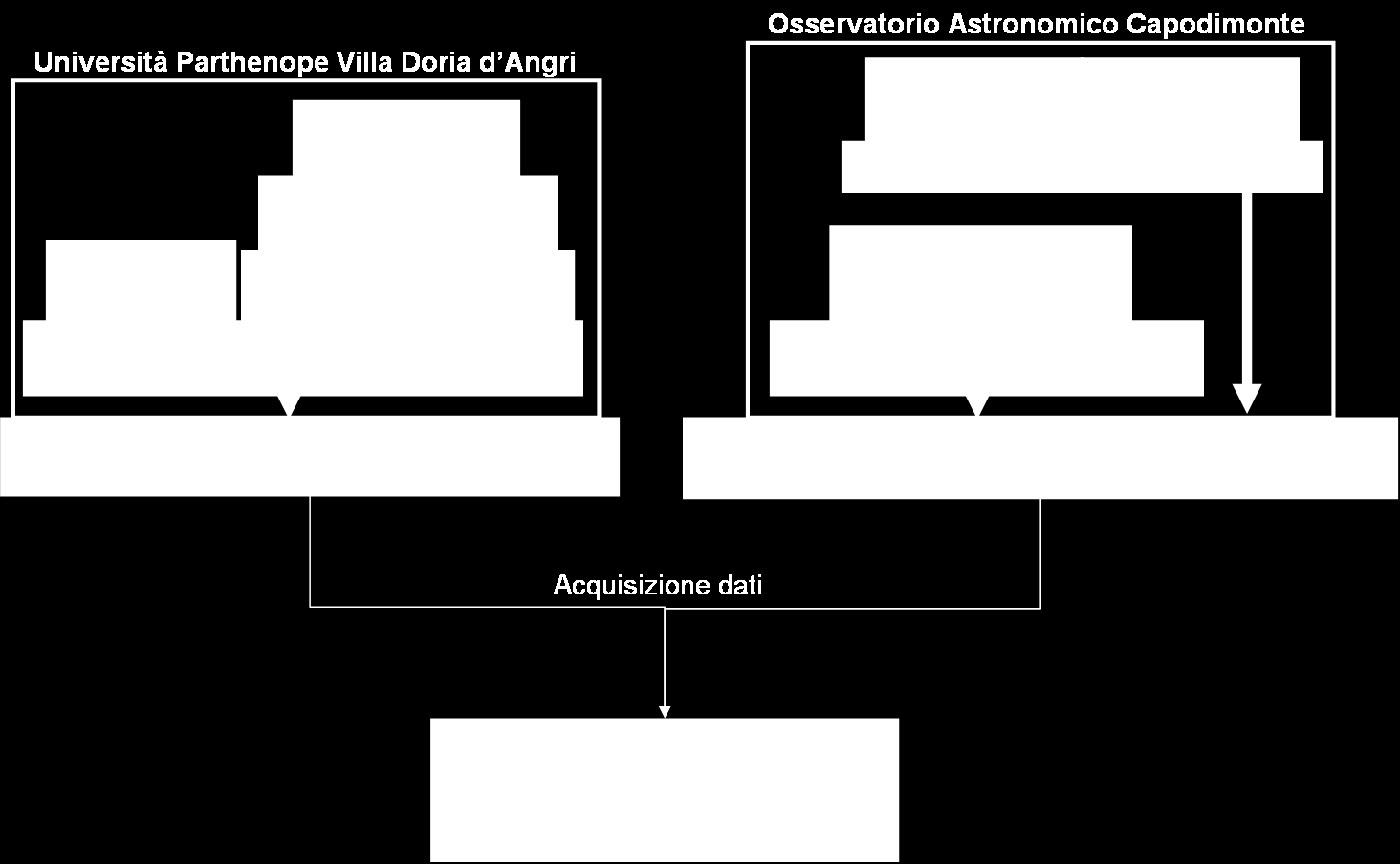 AVL Design AVL Gestione di