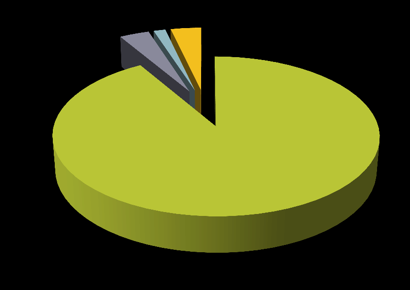 I consumi di combustibili nel 27 (%) Italia Regione Puglia 4 1 4 1,7 2,1 2,7,4 91 75,4 COAL OCD Gas naturale altro Olio combustibile Gas naturale Carbone/coke Osservazione sull utilizzo di CDR o di