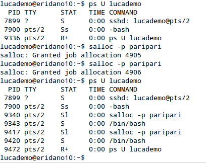 Il comando Slurm per l apertura di un job, come si è visto, è salloc ed è chiamato aprendo dallo script un sottoprocesso di shell bash.