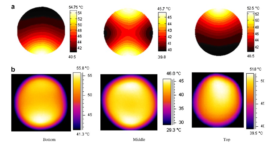 Disuniformità del riscaldamento 27 MHz Simulazione del riscaldamento dielettrico di una confezione di uva