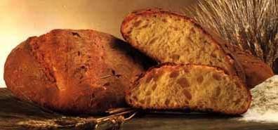 Qualità e tracciabilità alimentare nella filiera del frumento duro Paste italiane Farina