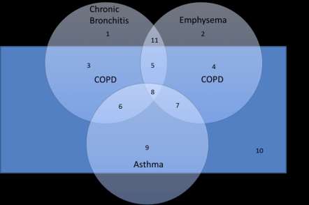 Classificazione proporzionale dei fenotipi di BPCO Concettuale Wellinton Respiratory Survey BPCO con fenotipo