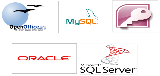 Organizzazione dei dati Come già detto in precedenza i database sono formati da una o più tabelle in relazione tra loro, fatta di record, i record sono un insieme di uno o più campi, i quali