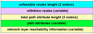 I primi due ottetti contengono la lunghezza totale in byte del campo successivo e deve permettere di calcolare la lunghezza del NLRI [vedi sotto].
