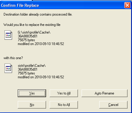 Poiché si tratta di un aggiornamento di programmi, durante la fase di copia, quando viene riscontrato un file preesistente viene mostrata la seguente figura.