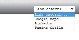 Figura 4 I link esterni Figura 5 Esempio di pagina web aperta grazie il link esterno I link con passaggio di dati sono