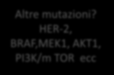 S c r e e n i n g m o l e c o l a r e n e l N S C L C ( 1 ) NSCLC Screening simultaneo Test di mutazione KRAS Test di mutazione EGFR Gene di fusione ALK KRAS+ (15-30%) EGFR+ (10) ALK+ (3-5%) Non