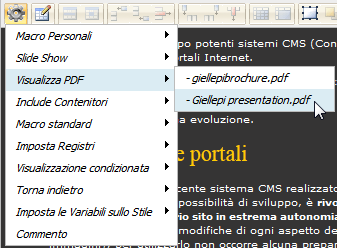 XFACILE / XTOTEM Pagina 197 Visualizza documenti PDF Il menu a tendina elenca tutti i documenti PDF caricati sul sito e permette di sceglierne uno.