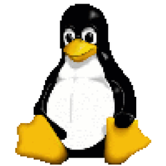 Configurazione di una rete locale con Linux paolo palmerini