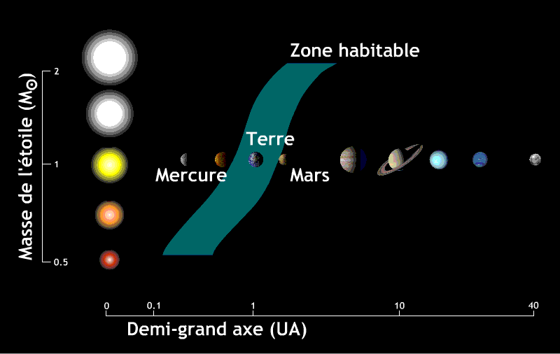 alla ricerca della vita