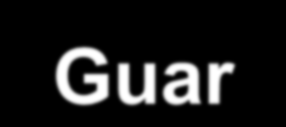 IDROSOLUBILI Gomma di Guar La Gomma di Guar, detta anche guarano, è un addensante per alimenti e modula l'assorbimento e la digestione umana di
