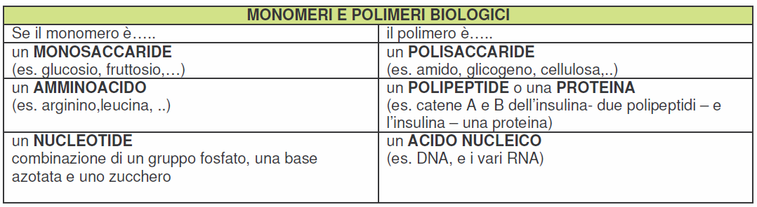 La nutrizione è l insieme dei processi biochimici attraverso i quali l organismo utilizza i principi nutritivi per soddisfare tre fondamentali funzioni : - costruttiva o plastica; - energetica; -