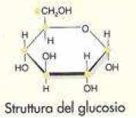 Alcuni importanti pentosi ed esosi sono