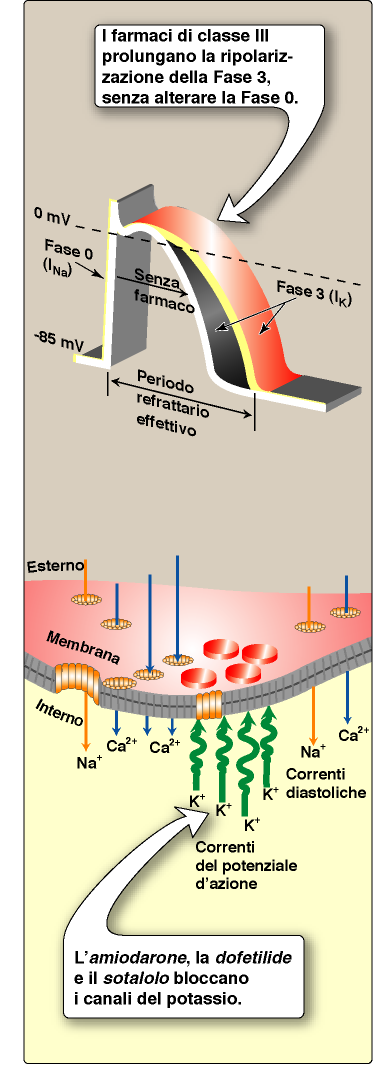 ClasseIII Classe di composti di cui il principale è l amiodarone.