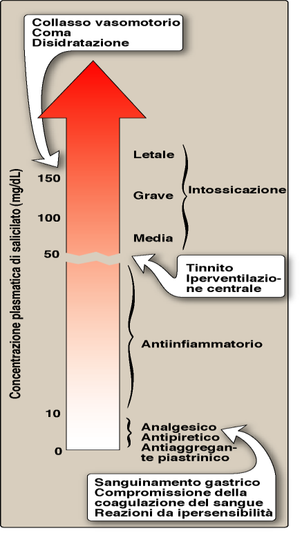 4. Carcinoma del colon: l utilizzo di ASA sembra utile nella prevenzione dell incidenza del cancro colon-rettale.