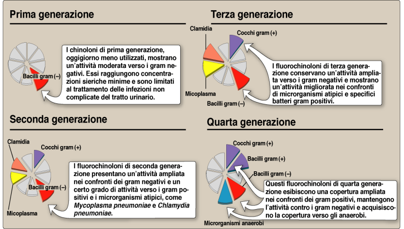 Seconda generazione: ampliamento dello spettro verso cocchi gram positivi (pneumococco), clamidie e micoplasmi.