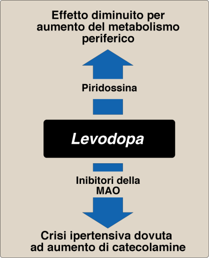 - Inibitori non selettivi delle MAO: questi causano un blocco degli enzimi deputati alla degradazione delle catecolamine con conseguente eccessiva presenza di catecolamine se viene somministrata