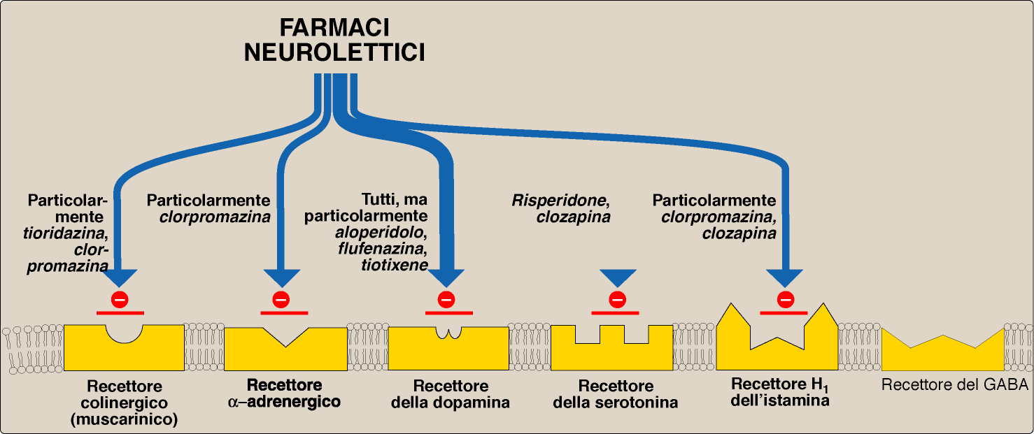 Usi terapeutici 1. Schizofrenia: utilizzati principalmente gli atipici per cercare di diminuire anche i sintomi negativi come la clozapina.