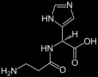 Carnosina