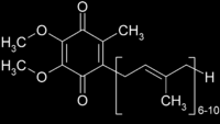 Coenzima Q10 aldo