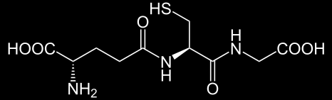 Glutatione (GSH)