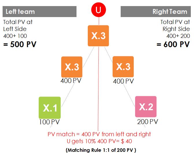 CASO: 1 Team Matching Income Team di Sinistra PV totali al Lato Sinistro 400 + 100 = 500 PV Team di Destra PV totali al Lato Destro 400 + 200 =