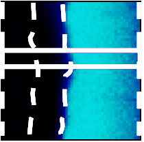 line-scans: summing up several distribution profiles (frames) Qualitative