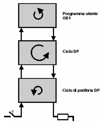 Funzioni Avanzate Sincronizzazione Cicli non sincronizzati: ciclo libero OB 1 del programma utente. La durata del tempo di ciclo può variare in base alle diramazioni non cicliche del programma.