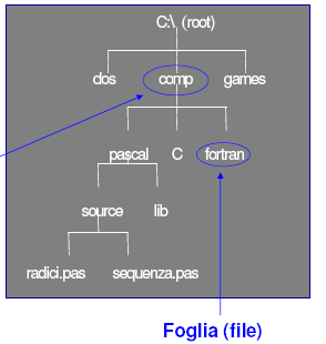 Organizzazione Logica dei File L insieme dei file presenti in memoria di massa è organizzato secondo una struttura gerarchica ad albero, in cui i nodi intermedi costituiscono le directory (che